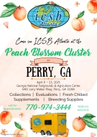 Peach Blossom Cluster - Perry, GA